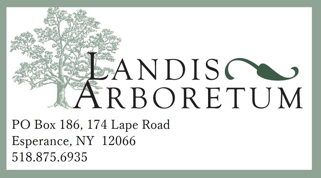 2019 Landis Arboretum 5K Forest Run Results